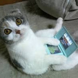 katherinebybee avatar