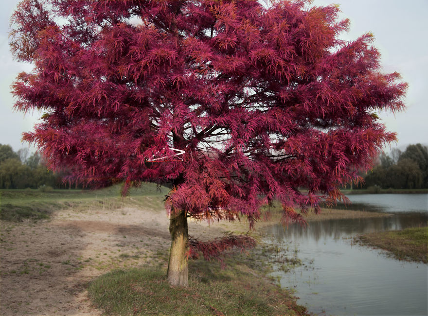 By Creating These Series I Hope To Inspire And Motivate People To Think About The Pollution By Creating These Series I Hope To Inspire And Motivate People To Think About The Pollution