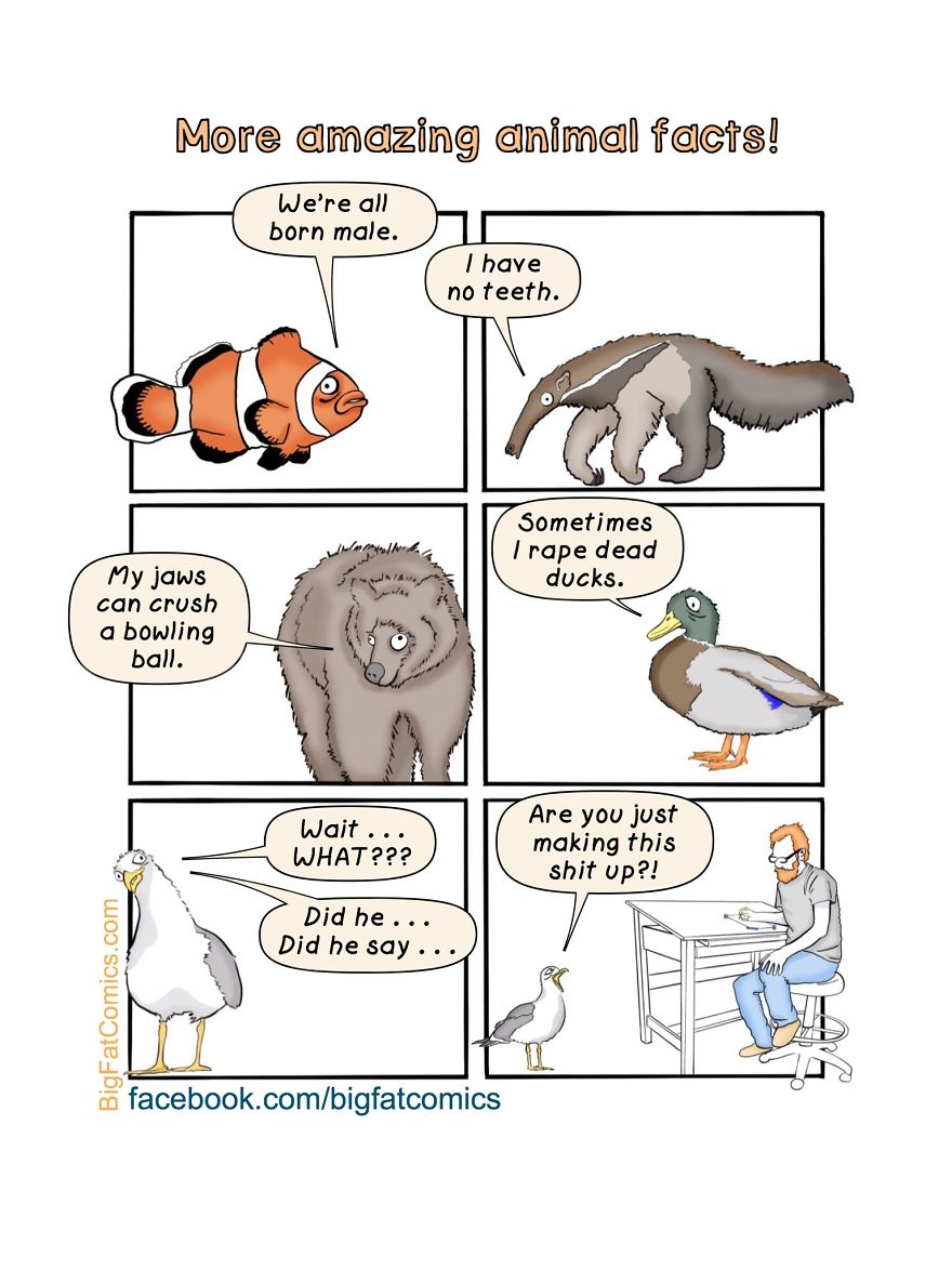 My Name Is Dan, And I Draw Big Fat Comics