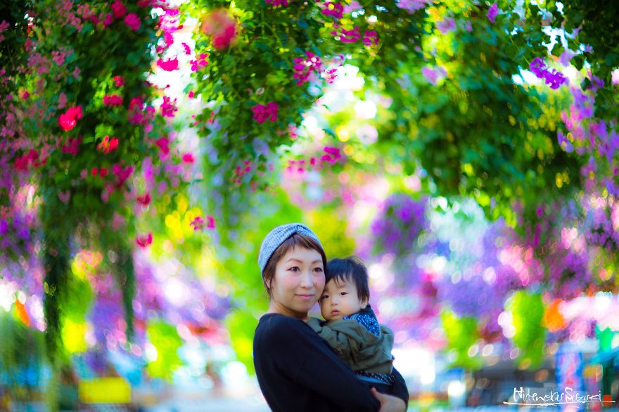 My Pictures Look Like Paintings Because I Use An Old Lens My Pictures Look Like Paintings Because I Use An Old Lens