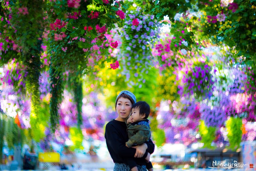 My Pictures Look Like Paintings Because I Use An Old Lens