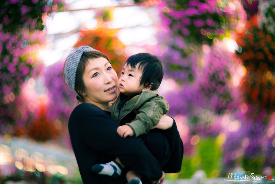 My Pictures Look Like Paintings Because I Use An Old Lens My Pictures Look Like Paintings Because I Use An Old Lens