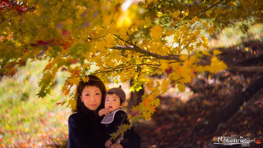 The First Autumn That I Felt In My Family