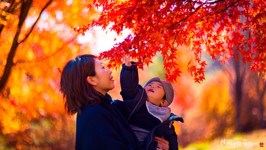 The First Autumn That I Felt In My Family