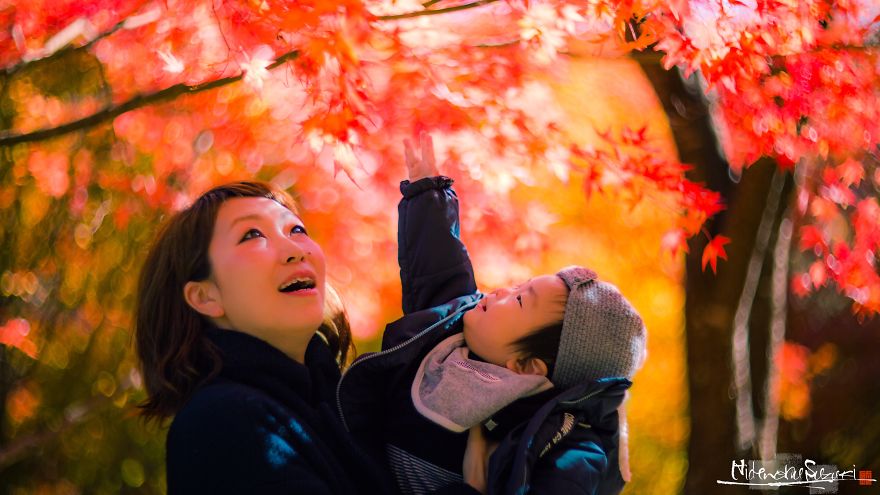 The First Autumn That I Felt In My Family