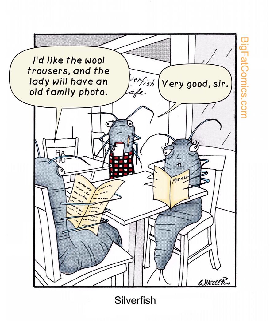 My Name Is Dan, And I Draw Big Fat Comics