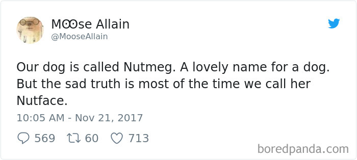 Tweet showing a humorous pet name change where Nutmeg the dog is often called Nutface instead.
