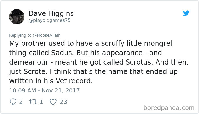 Tweet sharing a funny pet name story showing how people rename their pets with hilarious new names.