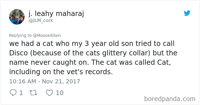 Tweet sharing a funny story about renaming a pet cat and the hilarity of pet name changes by people.