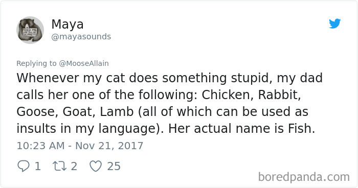 Tweet showing a humorous pet name change where a cat originally named Fish gets called various animal names as insults.