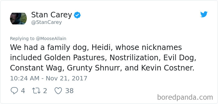 Tweet showing people sharing funny pet names they now call their pets instead of their original names on social media.