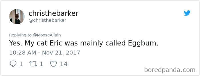 Tweet showing a user sharing a funny new pet name, highlighting people sharing names they call their pets.