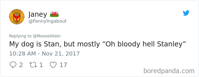 Twitter post showing a user sharing a funny new name they call their dog instead of the original one.