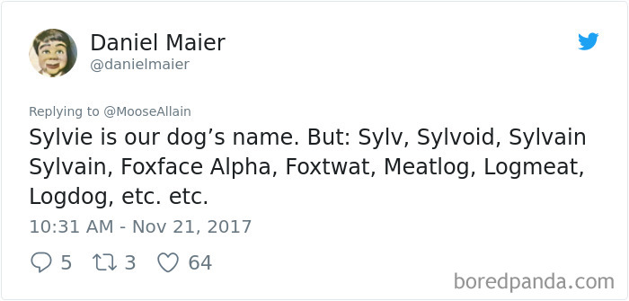 Tweet showing a list of funny alternative names people now call their pets instead of the original one.