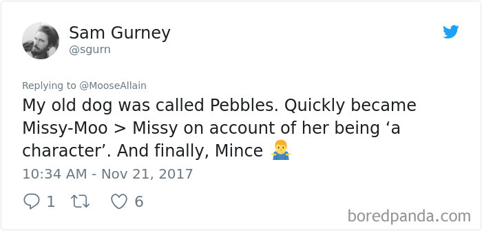 Tweet showing a person sharing the funny new names they call their pet dog instead of the original name.