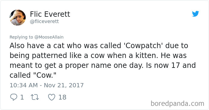 Tweet about pet names changing from 'Cowpatch' to 'Cow' for a cat, illustrating humorous pet name changes shared by people.