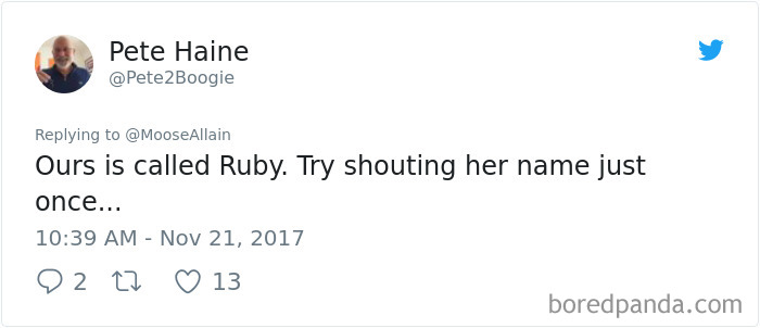 Tweet showing a user sharing a new pet name called Ruby, part of people sharing names they now call their pets.