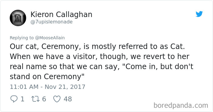 Tweet showing a humorous pet name change where the cat Ceremony is mostly called Cat by its owners.
