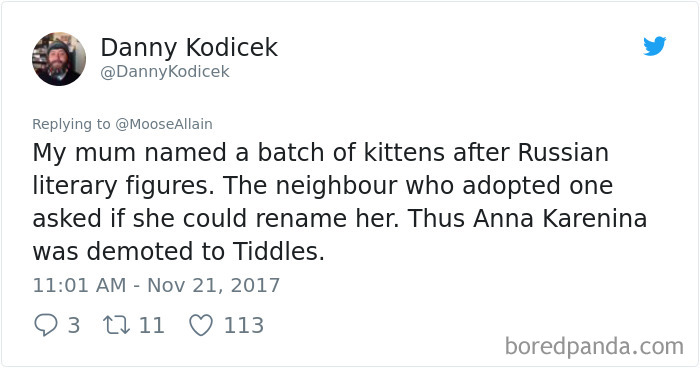 Tweet sharing funny pet renaming story, illustrating people sharing the names they now call their pets instead of original ones.
