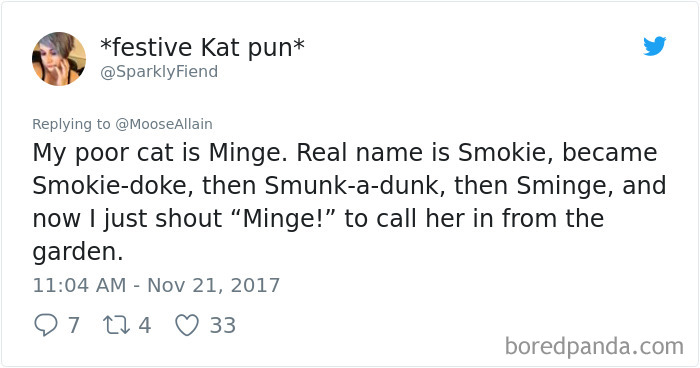 Twitter post sharing a humorous story about renaming a pet cat, illustrating funny pet name changes.