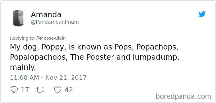 Tweet showing a pet owner sharing funny alternative names they call their dog instead of the original name.