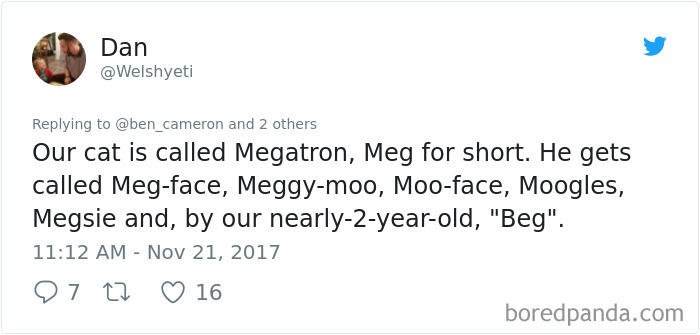 Tweet showing a person sharing funny alternative names they now call their cat instead of the original name.