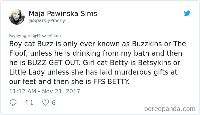 Tweet showing people sharing the funny new names they call their pets instead of the original ones.