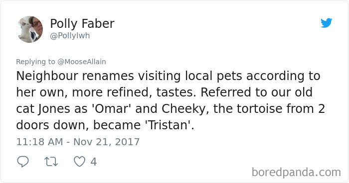 Tweet sharing funny renamed pets like a cat called Omar and a tortoise named Tristan by a neighbor with refined tastes.