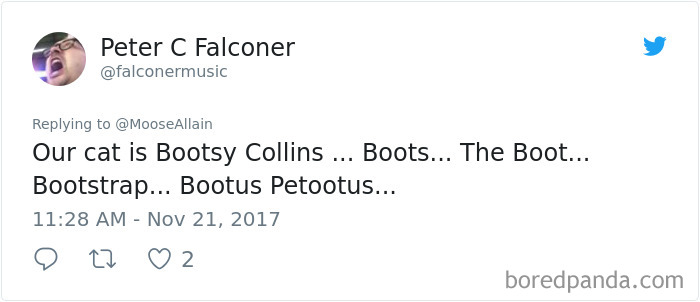 Tweet showing a humorous thread where people share the funny new names they now call their pets instead of the original ones.