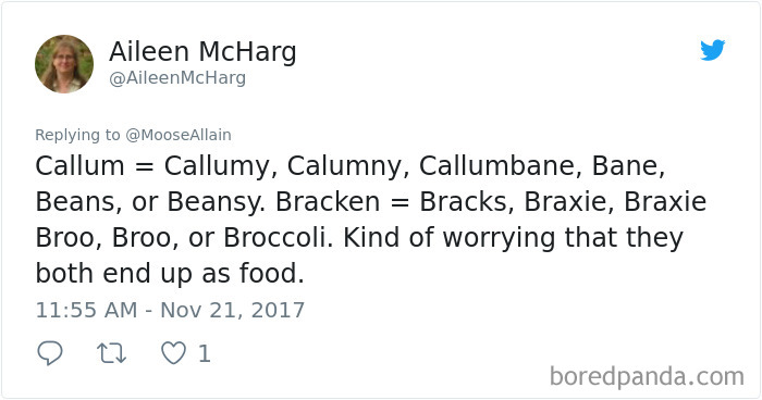 Tweet showing funny pet name variations shared by people, highlighting creative renaming of their pets with humorous twists.