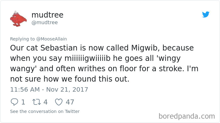 Tweet showing a humorous pet name change from Sebastian to Migwib, shared by people about pet names online.