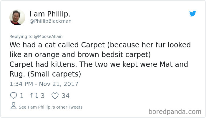 Tweet showing a funny pet renaming story where a cat named Carpet’s kittens were called Mat and Rug.
