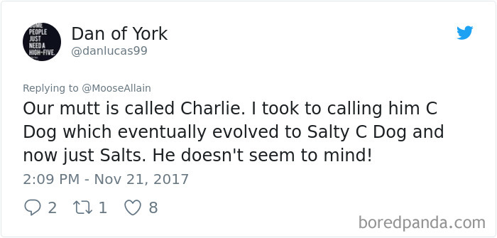 Tweet showing a person sharing a funny new name they call their pet instead of the original one.