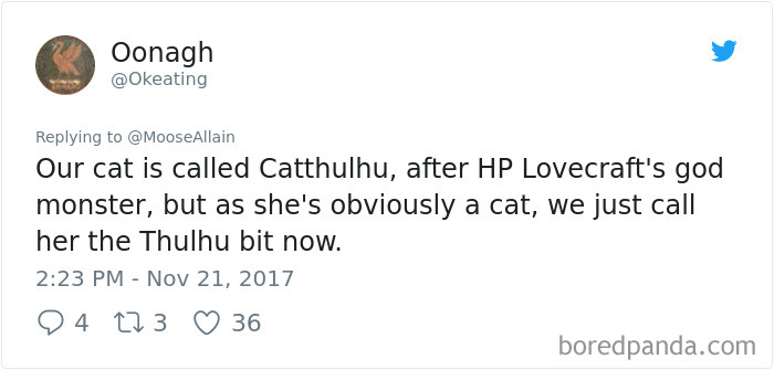 Tweet showing a pet owner sharing a humorous new name for their cat, related to popular pet renaming trends.