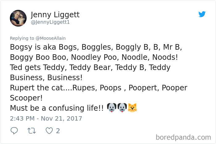 Tweet showing funny alternative pet names people use instead of original ones, highlighting pet names and humor shared online.