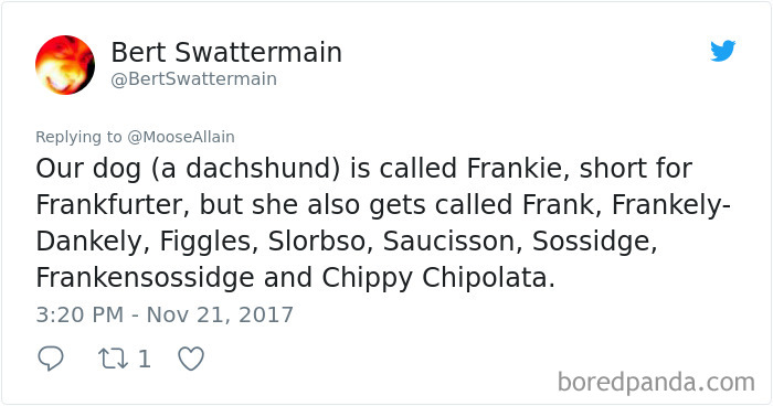 Tweet showing a person sharing the funny names they now call their pet dog instead of the original name.