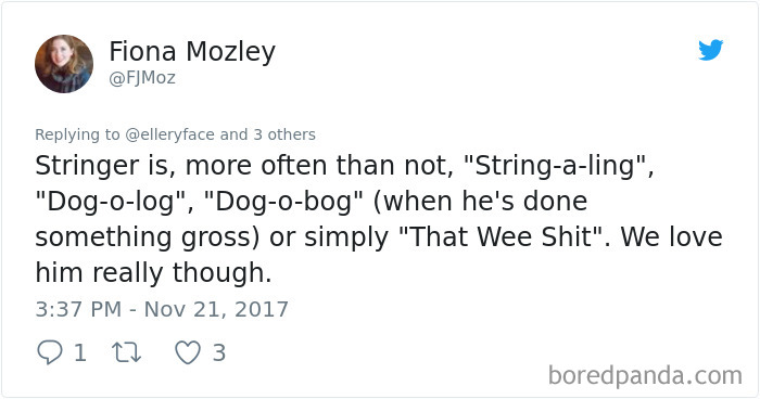 Tweet showing funny alternative pet names people now call their pets instead of the original ones, highlighting pet renaming humor.