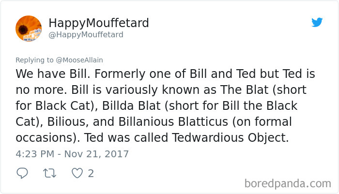 Tweet sharing funny new pet names for cats, highlighting creative nicknames replacing original names in pet name trends.