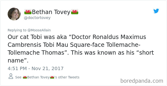 Tweet showing a humorous pet name shared by people as an alternative to the original one, highlighting pet name creativity.