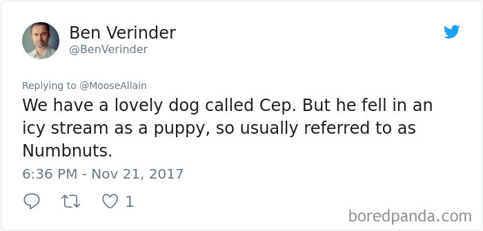 Tweet showing a pet owner sharing the new funny name they call their dog instead of the original one.