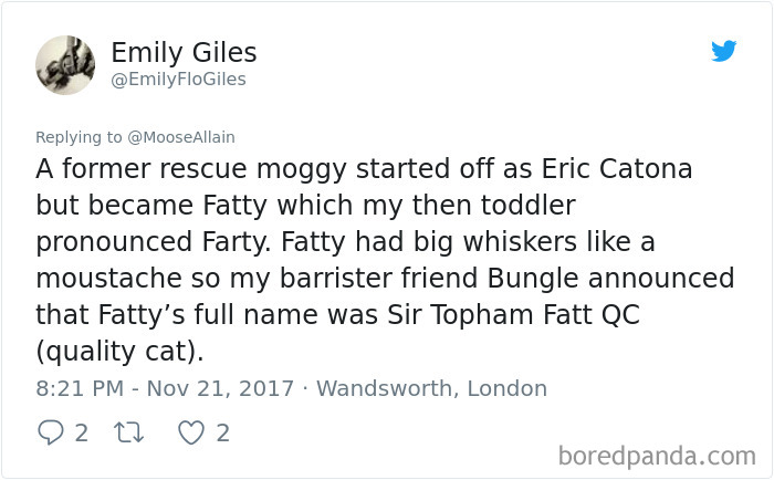 Tweet showing a person sharing a funny story about the new names they call their pet instead of the original.