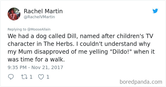 Tweet showing a humorous pet renaming story shared by people about what they now call their pets instead of original names.
