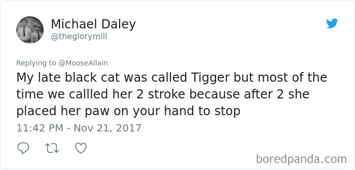 Tweet showing a person sharing a funny new pet name they now call their cat instead of the original name.