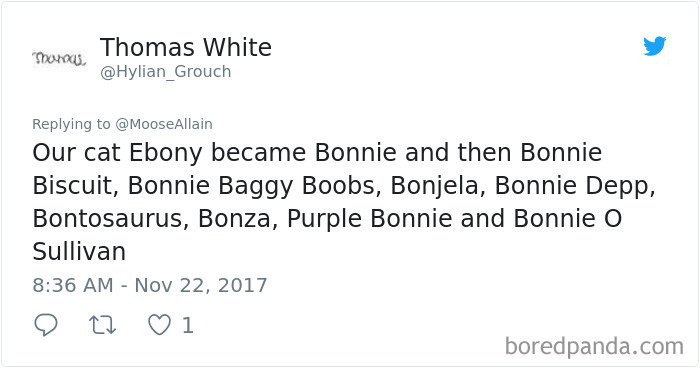 Tweet showing funny new pet names people call their cats, illustrating pet name changes and hilarious pet renaming trends.