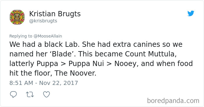 Tweet about people sharing funny new names they call their pets instead of the original ones, highlighting pet renaming humor.