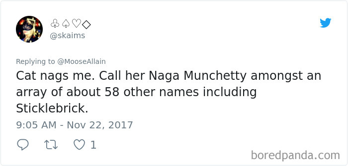Tweet showing a user sharing hilarious alternative pet names they now call their cat instead of the original name.