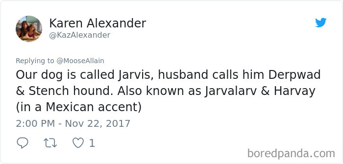 Tweet showing a humorous pet name discussion as people share the names they now call their pets instead of the original one.