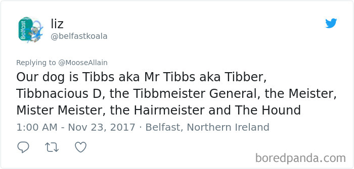 Tweet showing humorous pet name variations for a dog, illustrating people sharing the names they now call their pets.