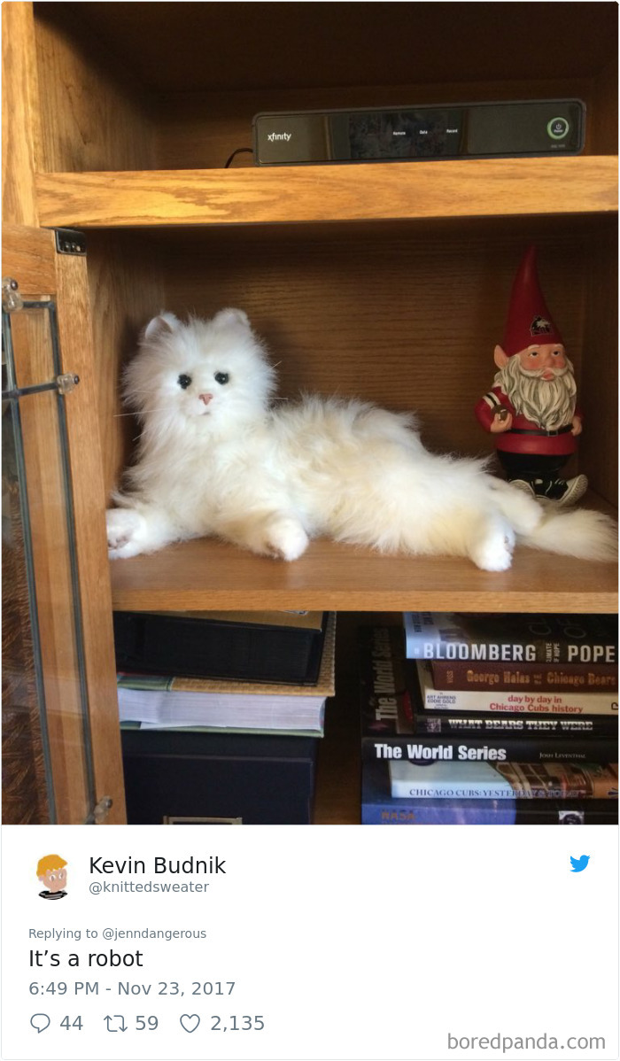 Weird Things Found At Parents House