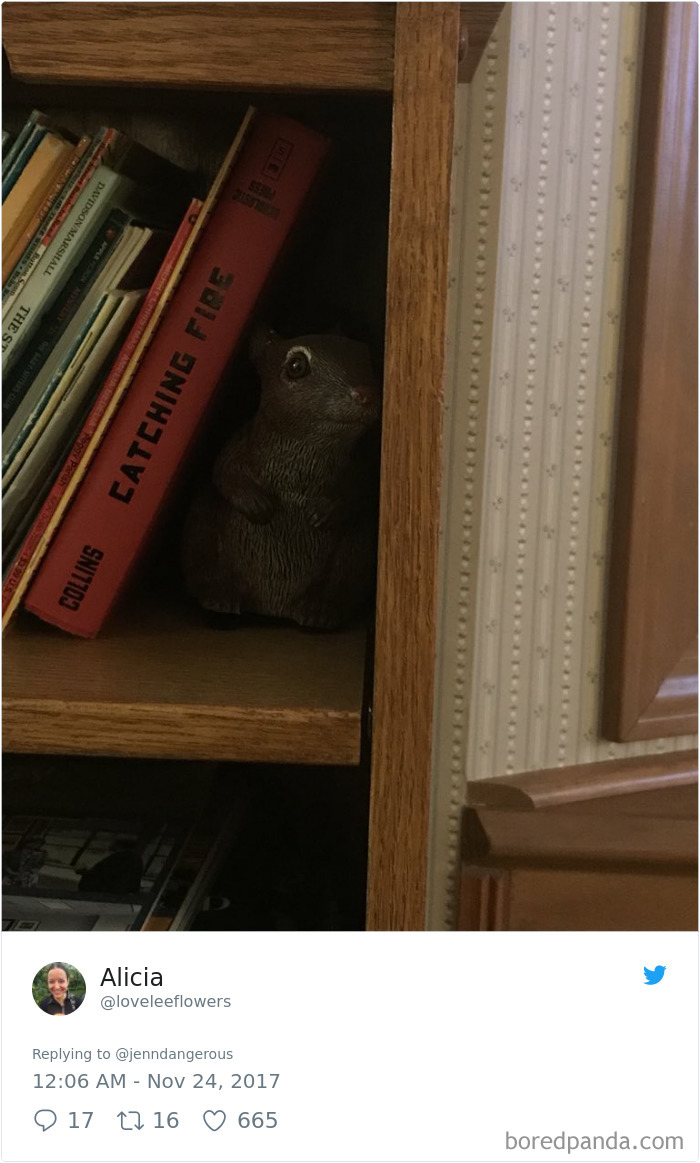 Weird Things Found At Parents House